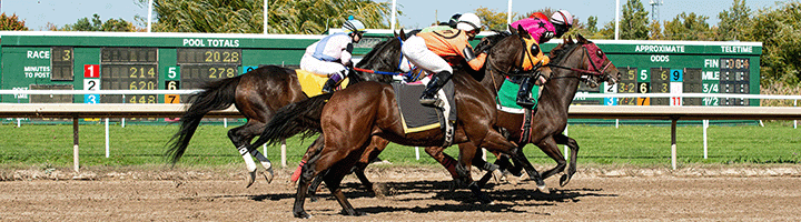 Marlins Man's latest appearance is at the Preakness Stakes 