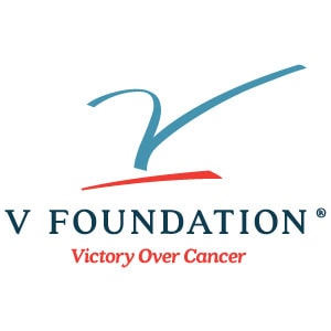 V Foundation Partner