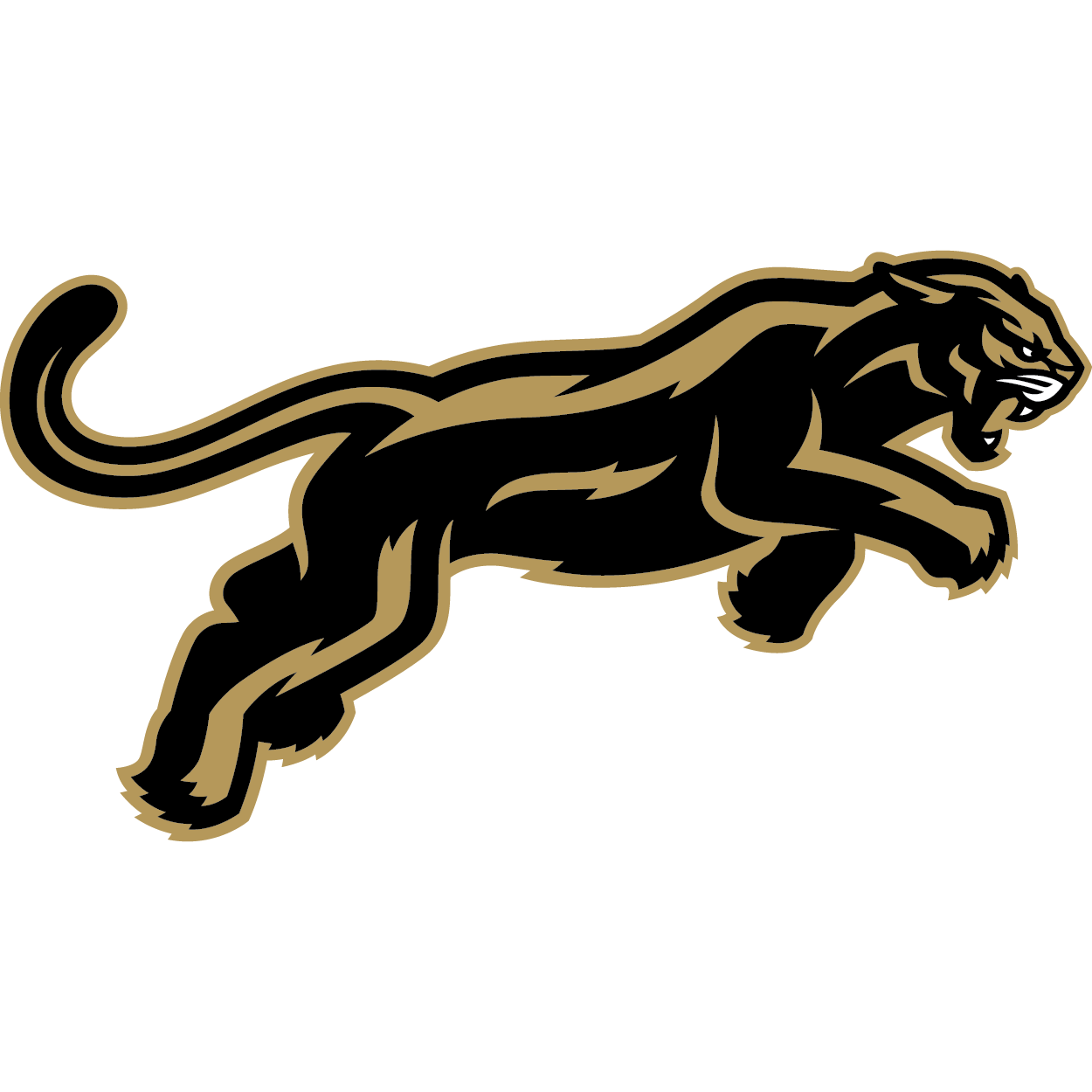 Bay Area Panthers - Official Website